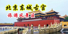 美女扒下裤子让男生捅的视频中国北京-东城古宫旅游风景区